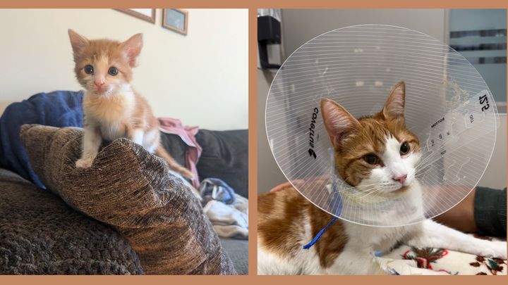 Prayers and Donations for Eddie’s Healing Journey campaign photo, 1 of 7