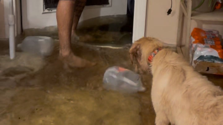 Help Cory and Lexie Rebuild After Flood campaign photo, 1 of 4