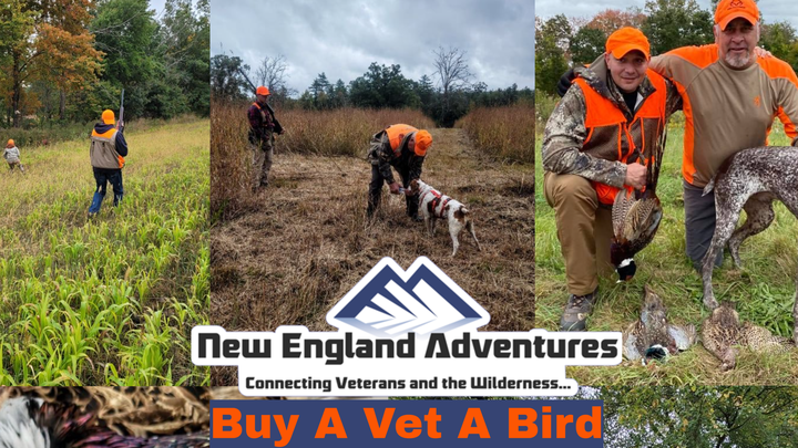 Buy A Vet A Bird campaign photo, 1 of 3