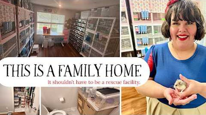 Help Snow White’s Rescue Cottage Build a Home of Its Own video thumbnail, 1 of 3