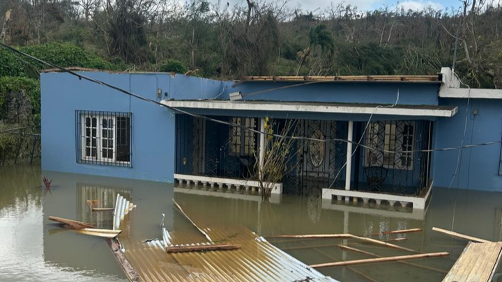 Hurricane Melissa Relief Fundraiser campaign photo, 1 of 7