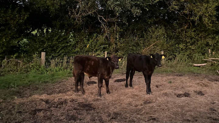 Help Support Alice & Jake After Devastating Farm Theft campaign photo, 1 of 2