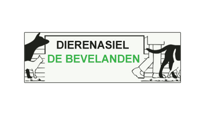 Een pootje helpen voor het dierenasiel Goes campaign photo, 1 of 3