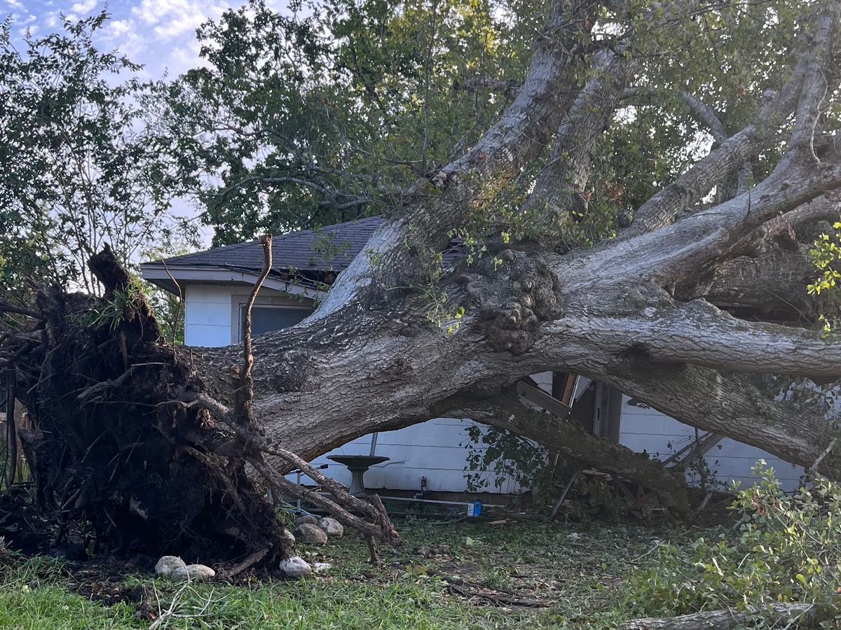 Fundraiser for Susan Pollock by Sandy Sewell : Support Susan's Family After  Devastating Loss, image size:1200x900