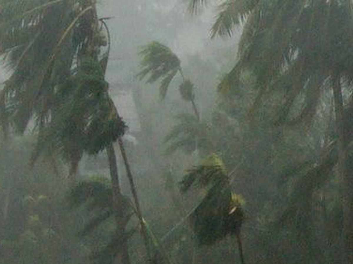 Fundraiser’s main image