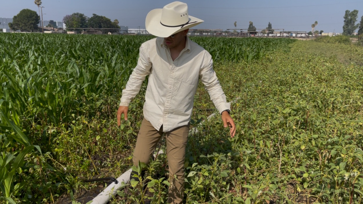 Help David Grow More Food for the Community campaign photo, 1 of 7