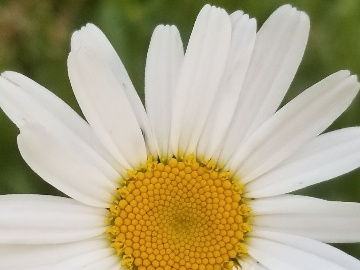 Fundraiser’s main image