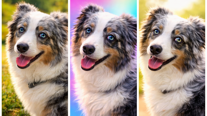 Help Lulu Get Her Shots Today campaign photo, 1 of 3