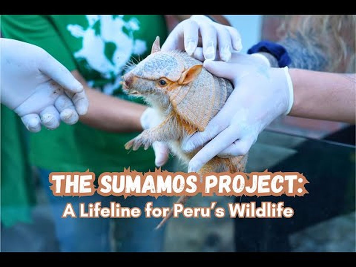 Fundraiser’s main image