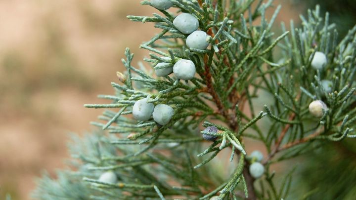 Hauptbild des Spendenaufrufs