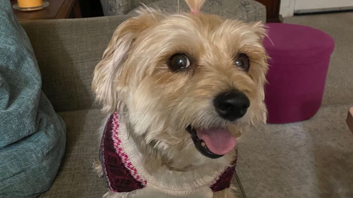 Help Rhonda and Lucy Stay in Their Home campaign photo, 1 of 8