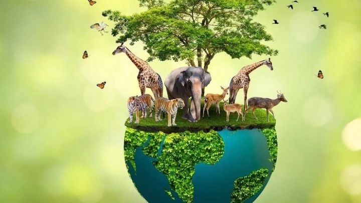 Global Conservation Volunteer Journey campaign photo, 1 of 8