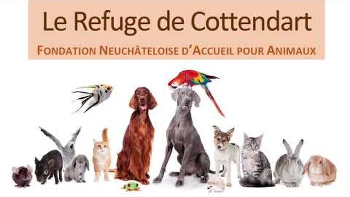 La Fondation Neuchâteloise d'Accueil pour Animaux video thumbnail, 1 of 3