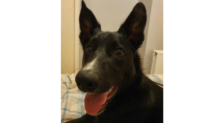 Flynn’s Urgent Medical Care campaign photo, 1 of 5