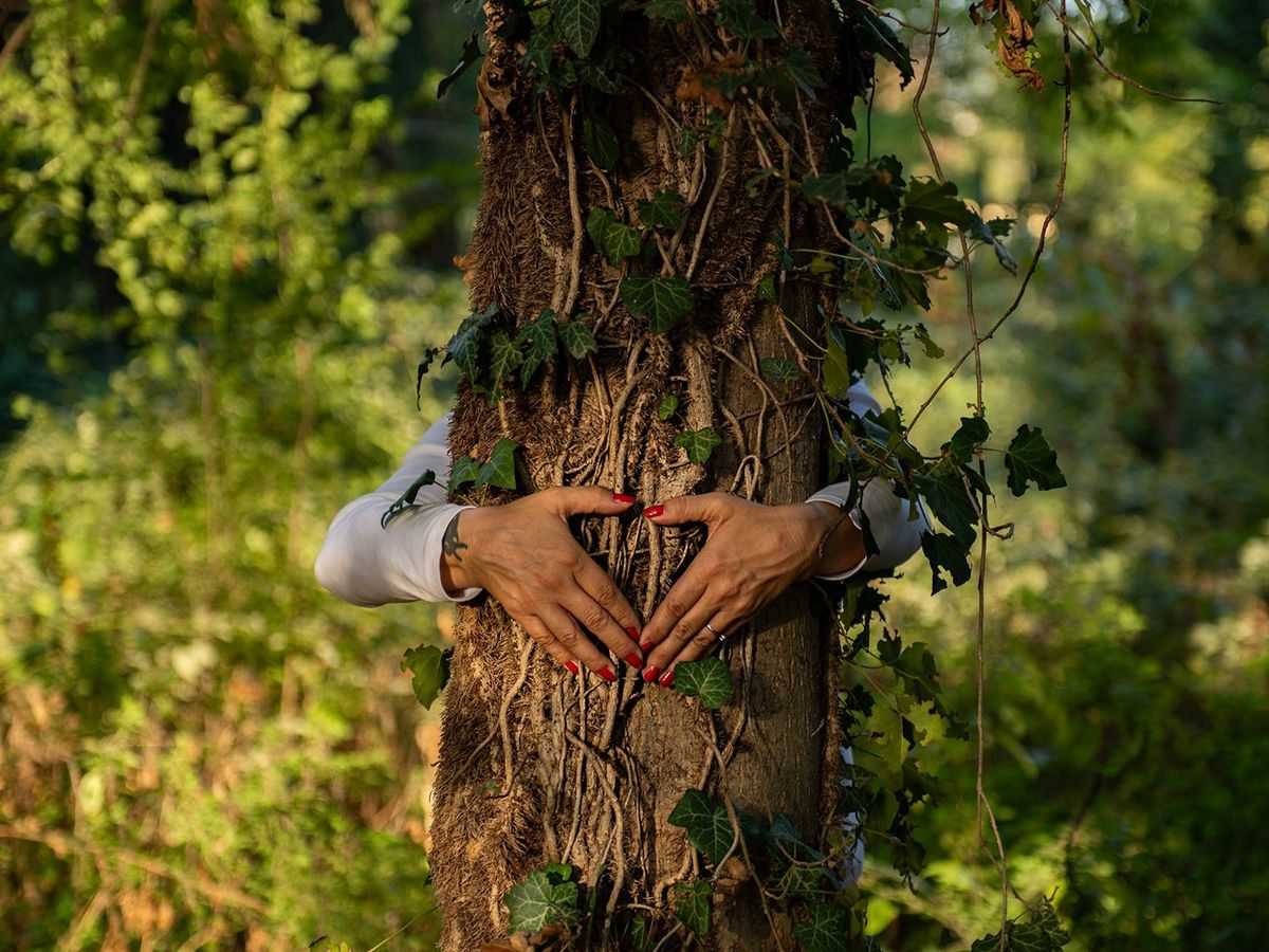 SALVIAMO IL BOSCO DI VIA FALCK campaign photo, 1 of 3