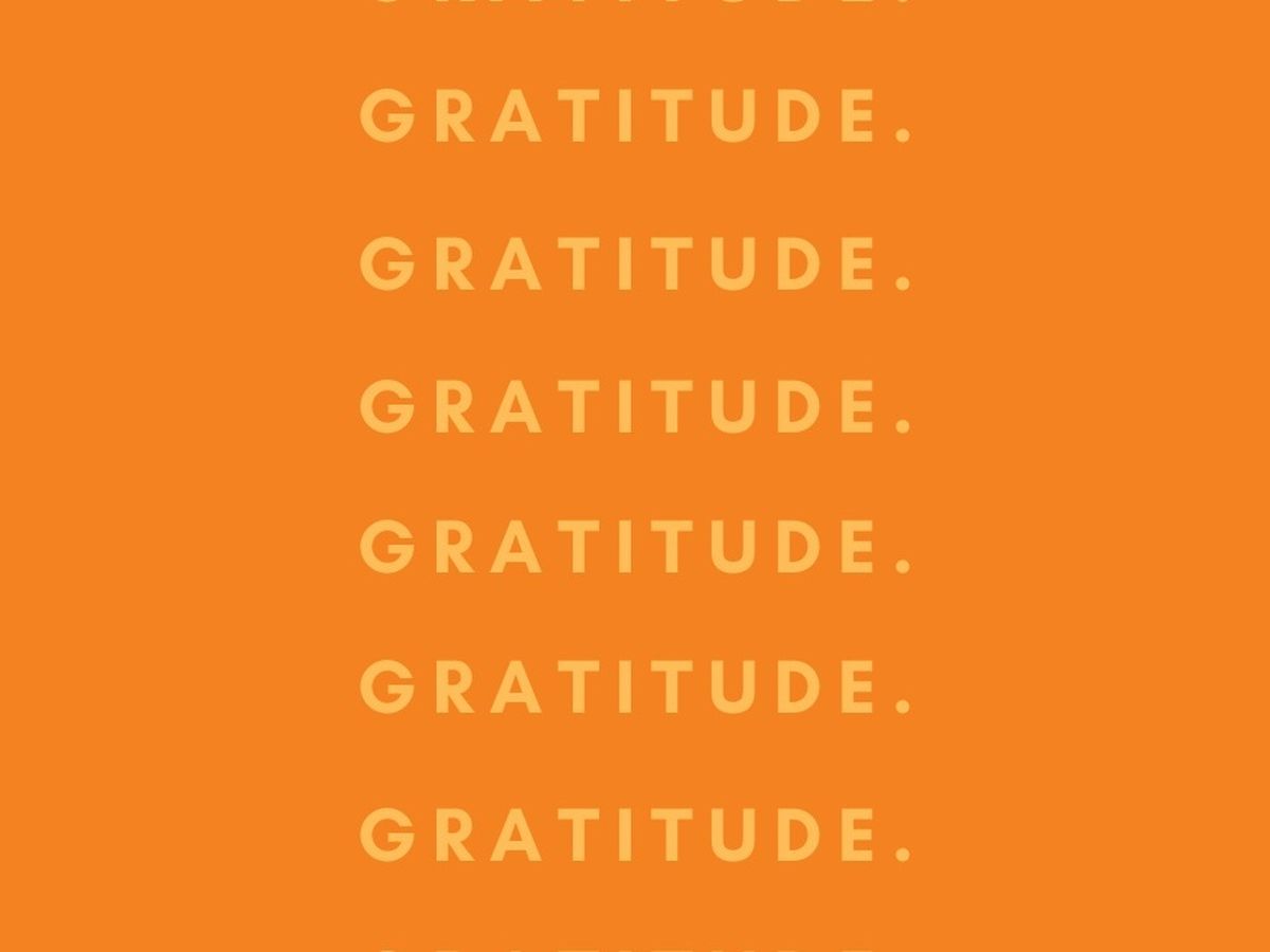 Fundraiser by Laura Macchiavelli : OTF Solano Albany