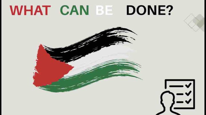 Help Me Make it to West Bank for Olive Harvest campaign photo, 1 of 11