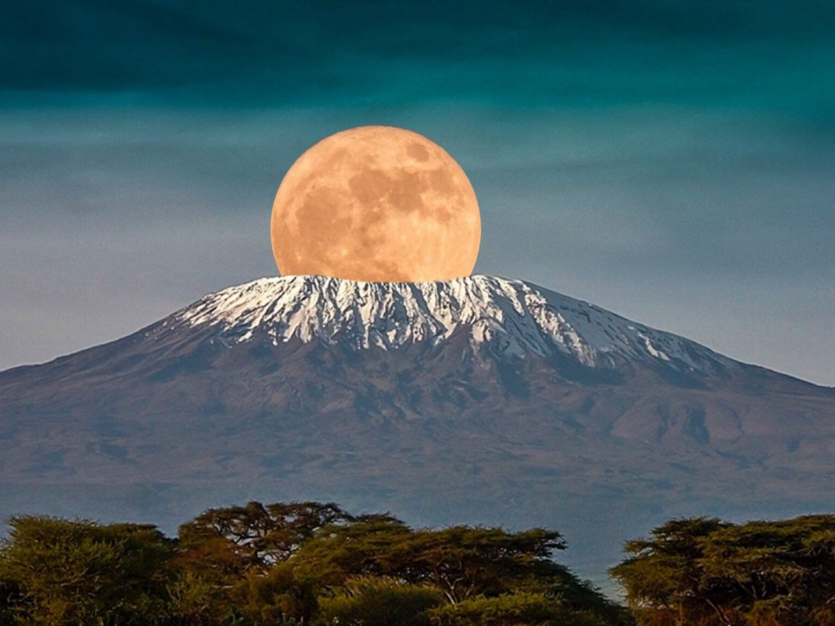 Immagine principale della raccolta fondi