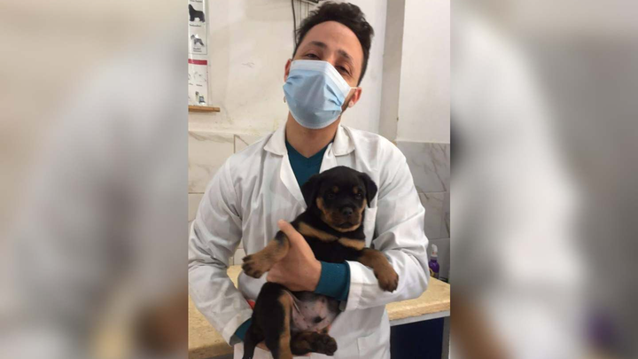 Help an Egyptian Vet Achieve ECFVG Certification campaign photo, 1 of 5