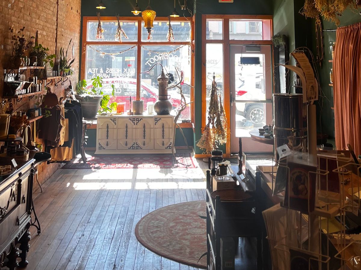 Help Bloodroot Apothecary Survive & Thrive campaign photo, 1 of 7