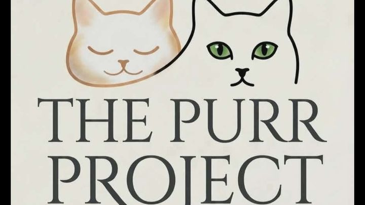 Support Purr Project’s Life-Changing Work campaign photo, 1 of 3