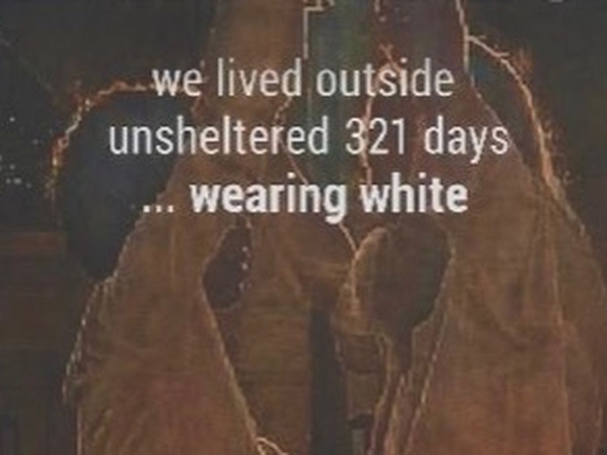 Fundraiser’s main image