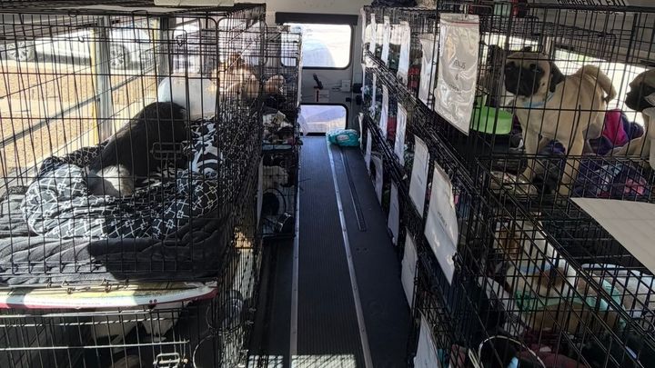 Help Keep Our Rescue Bus Moving