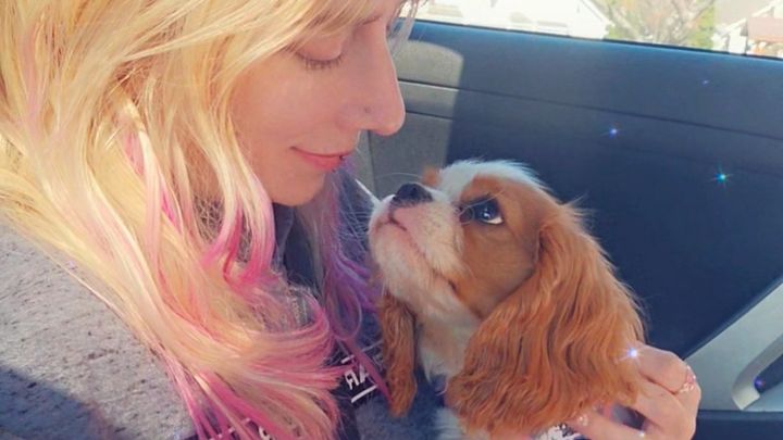 Help with Millie's Vet Bills & Memorial campaign photo, 1 of 7