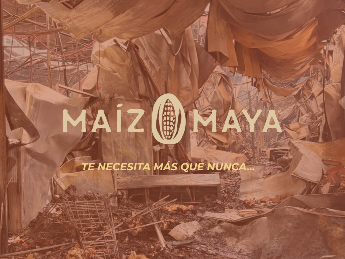 Imagen principal de la recaudación de fondos