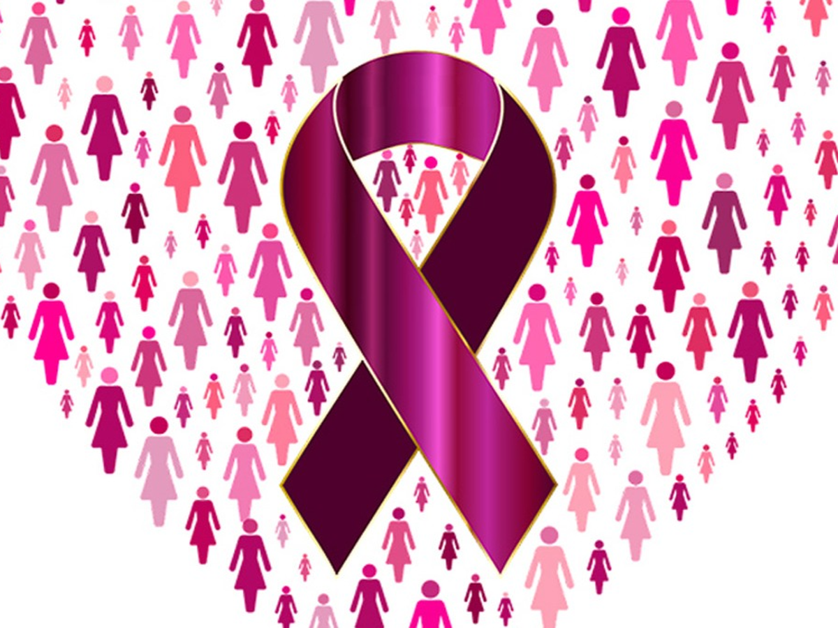 Fundraiser’s main image