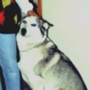 Profile photo of Roy Schroeder