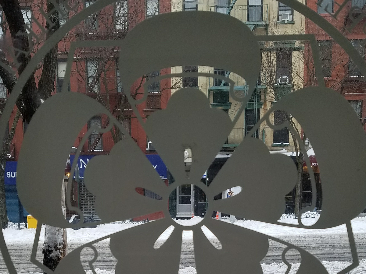 Fundraiser’s main image