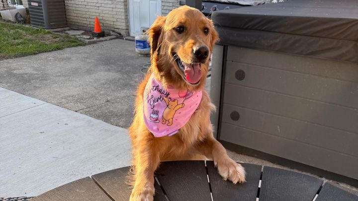 Help Winnie Get Back On Her Paws campaign photo, 1 of 8