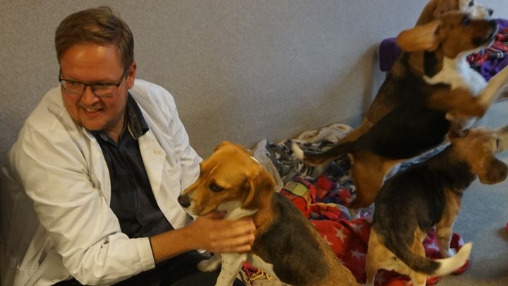 New organisation against animal experiments campaign photo, 1 of 2
