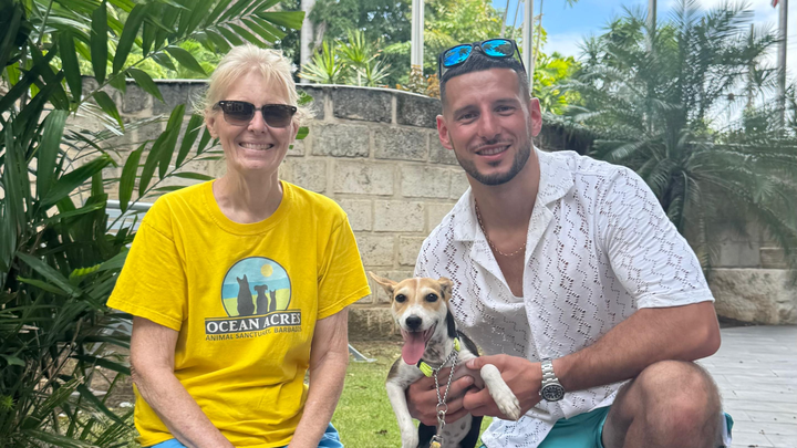 Help bring Carib to the UK for a new life! campaign photo, 1 of 5