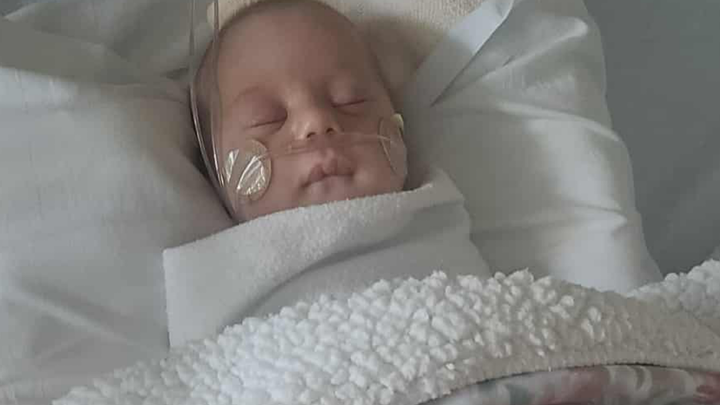 Support Baby Fae's Heart Surgery Journey campaign photo, 1 of 4