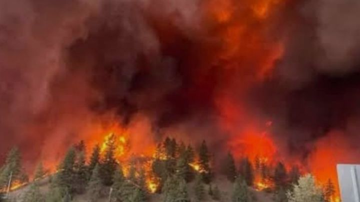 Please donate: Ed & Cathy Anderson, Bald Range Fire victims campaign photo, 1 of 3