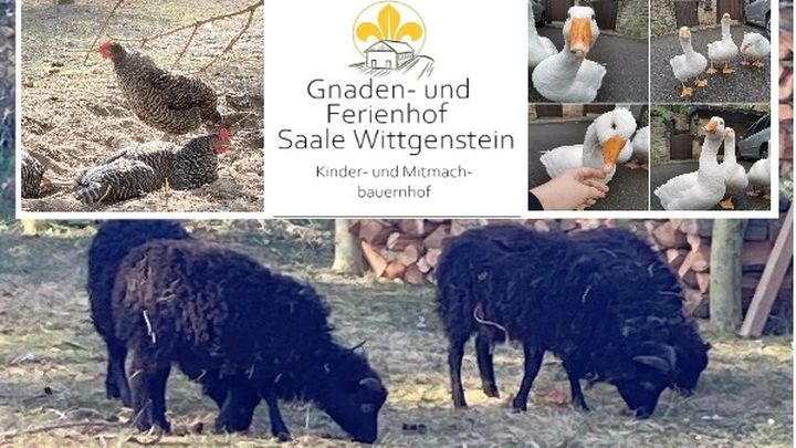 Hauptbild der Spendenaktion