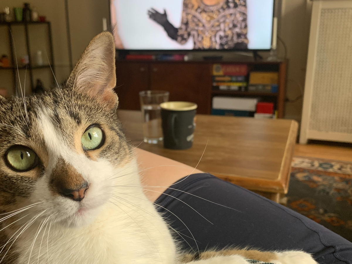 Honoring Sausage: Help Haley with Vet Expenses campaign photo, 1 of 4