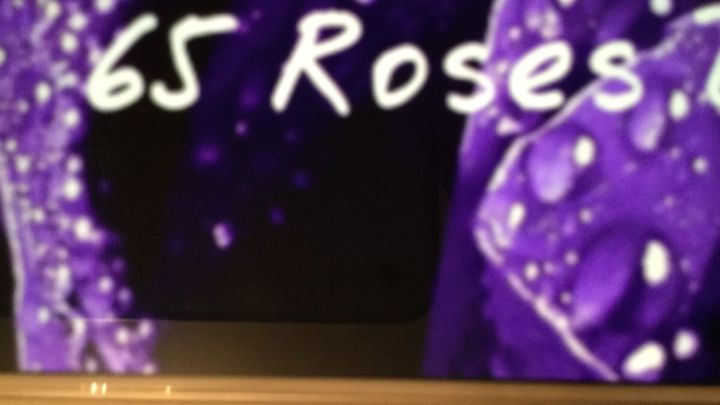 Main fundraiser photo