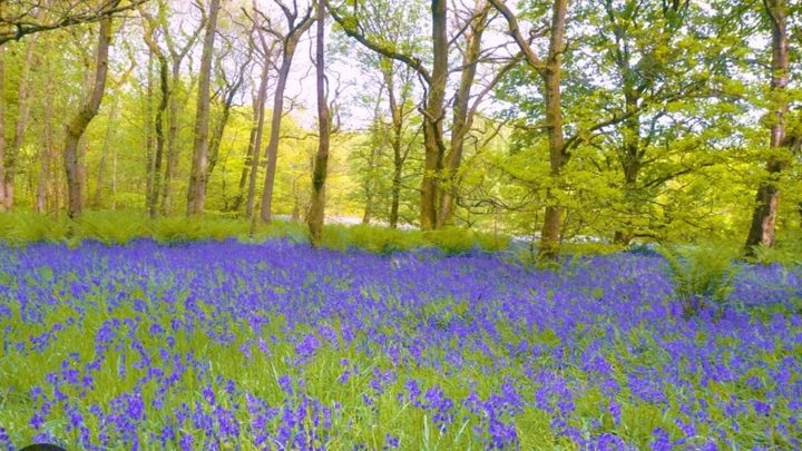 Hauptbild des Spendenaufrufs