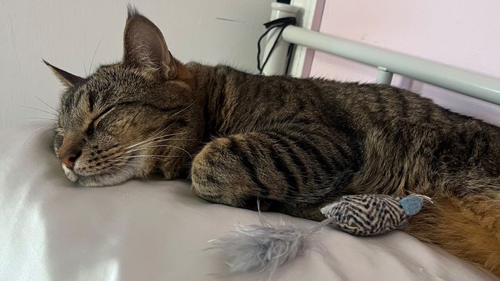Help me save my best friend
