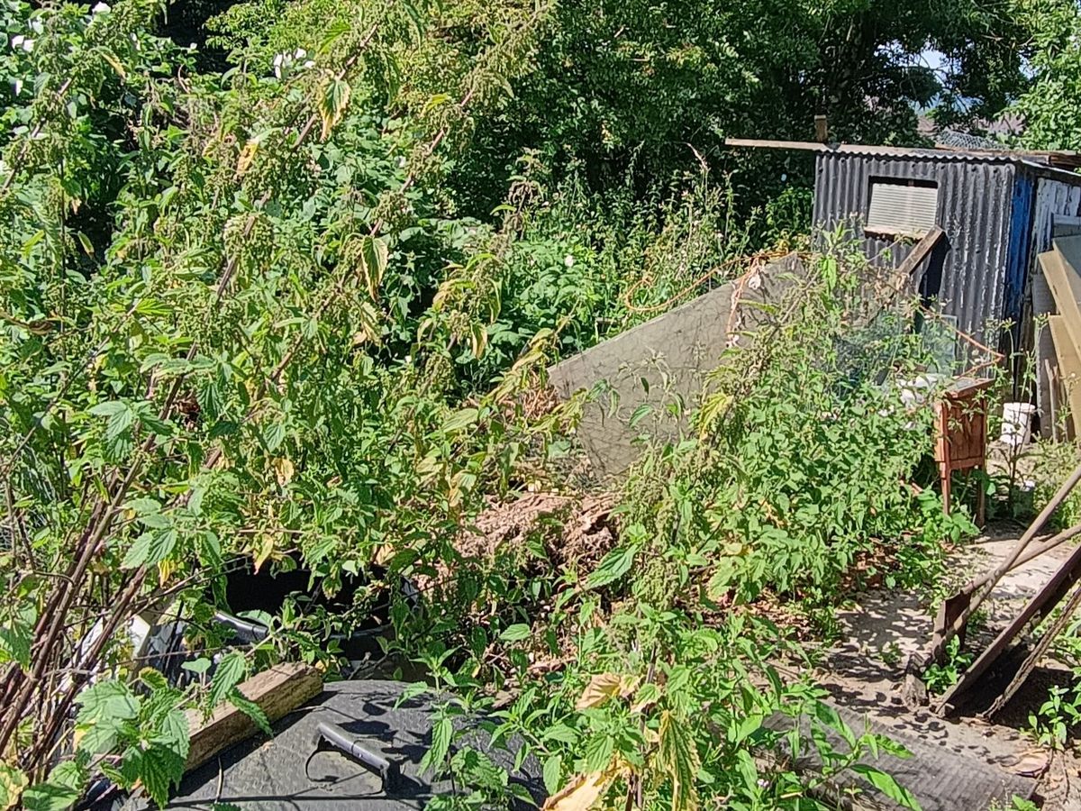 Fundraiser’s main image