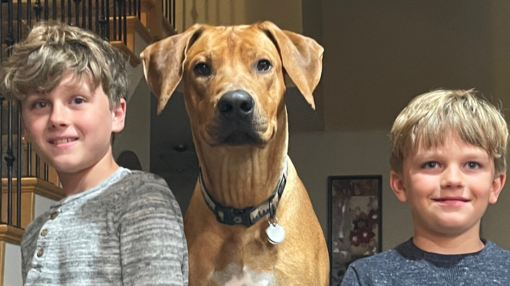 Help Razor Get Life-Saving Surgery campaign photo, 1 of 8