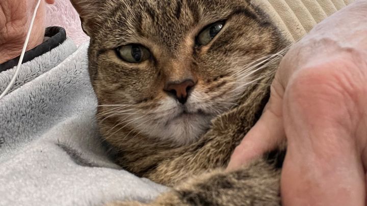 Main fundraiser photo