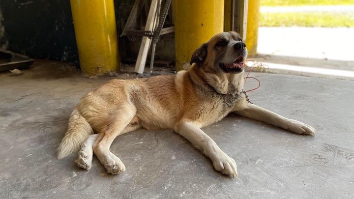 Main fundraiser photo