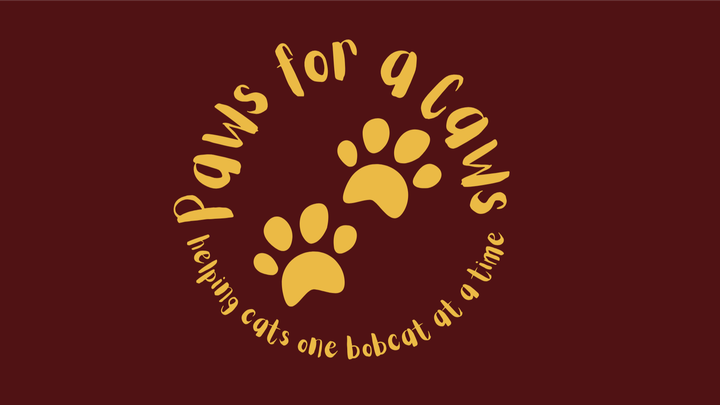 Paws for a Caws TXST for San Marcos Cats campaign photo, 1 of 3