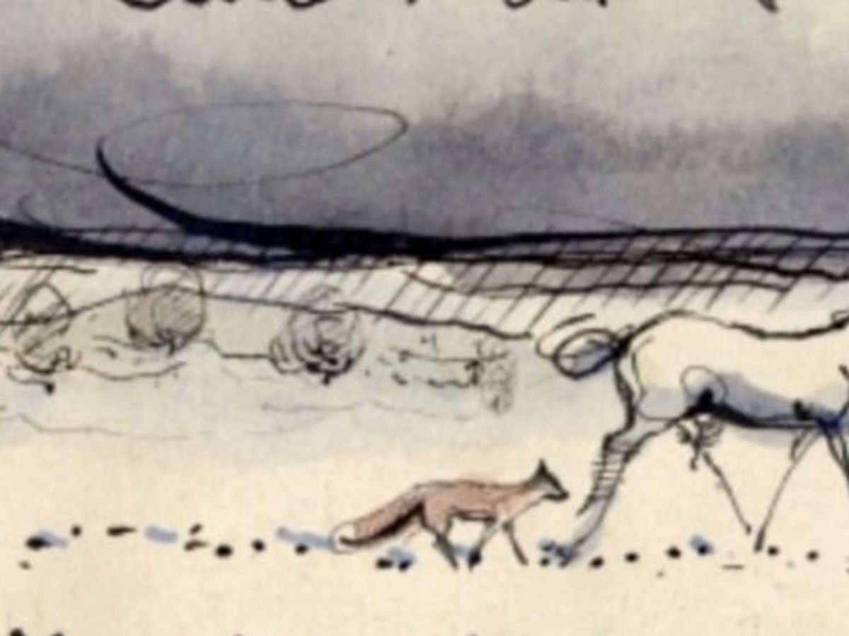 Lee Mandelo's 'Feed Them Silence' and Erica Berry's 'Wolfish' Obsess Over  Wolves \u0026 Connection | The Mary Sue, image size:1200x900