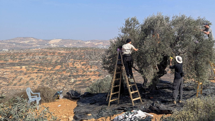 Soutenons les Palestinien.nes de Wadi Qana campaign photo, 1 of 3