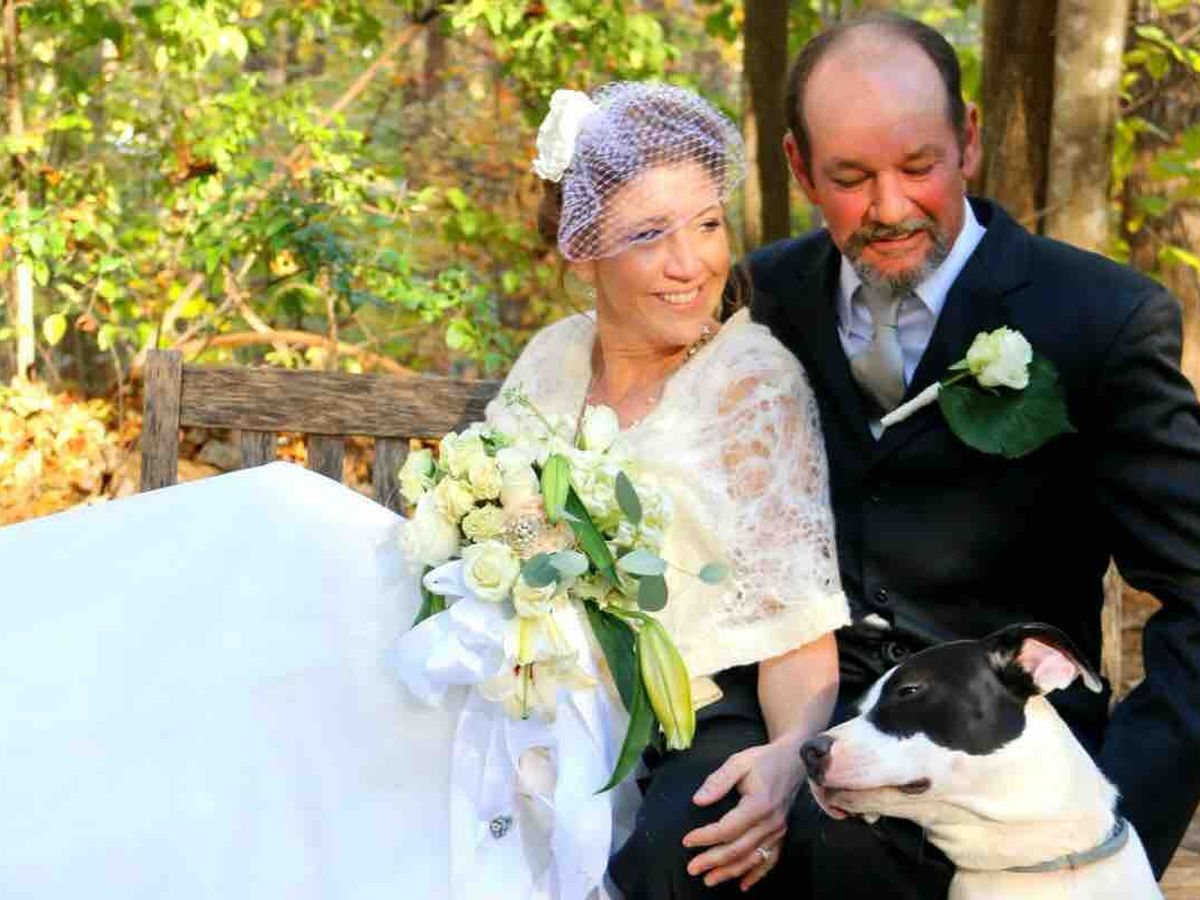 The bull pub and restaurant hi-res stock photography and images - Alamy, image size:1200x900